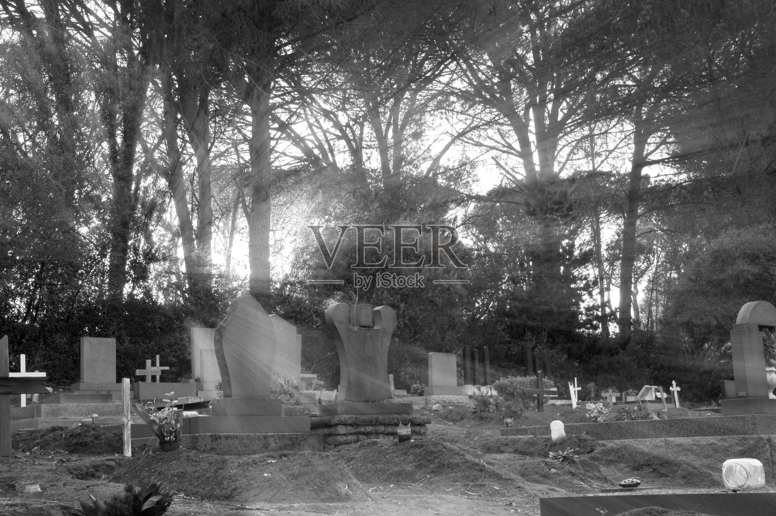 黑白墓地照片摄影图片