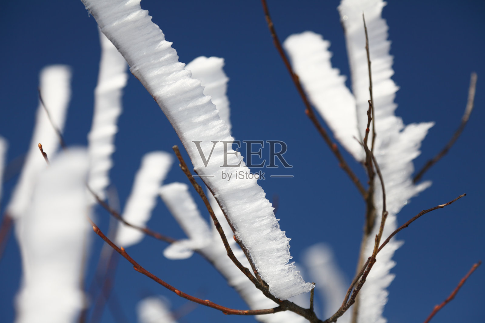 冬天白霜的细节照片摄影图片