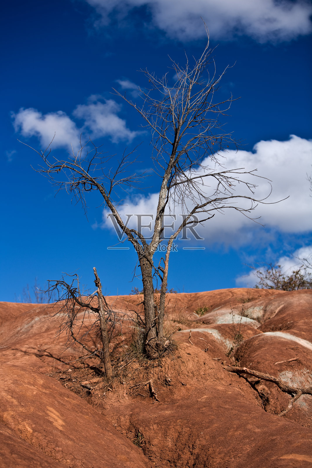 贫瘠的照片摄影图片