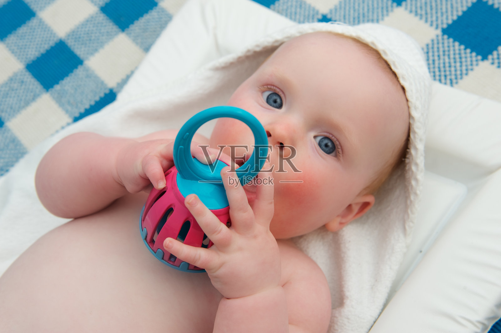 小型贝尔照片摄影图片