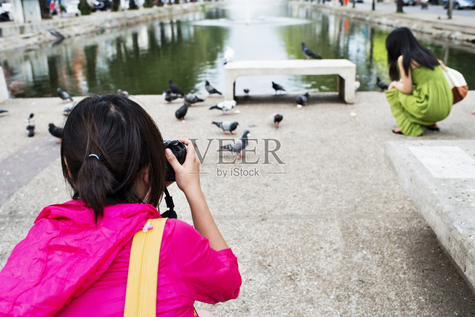 拍摄鸟类照片摄影图片