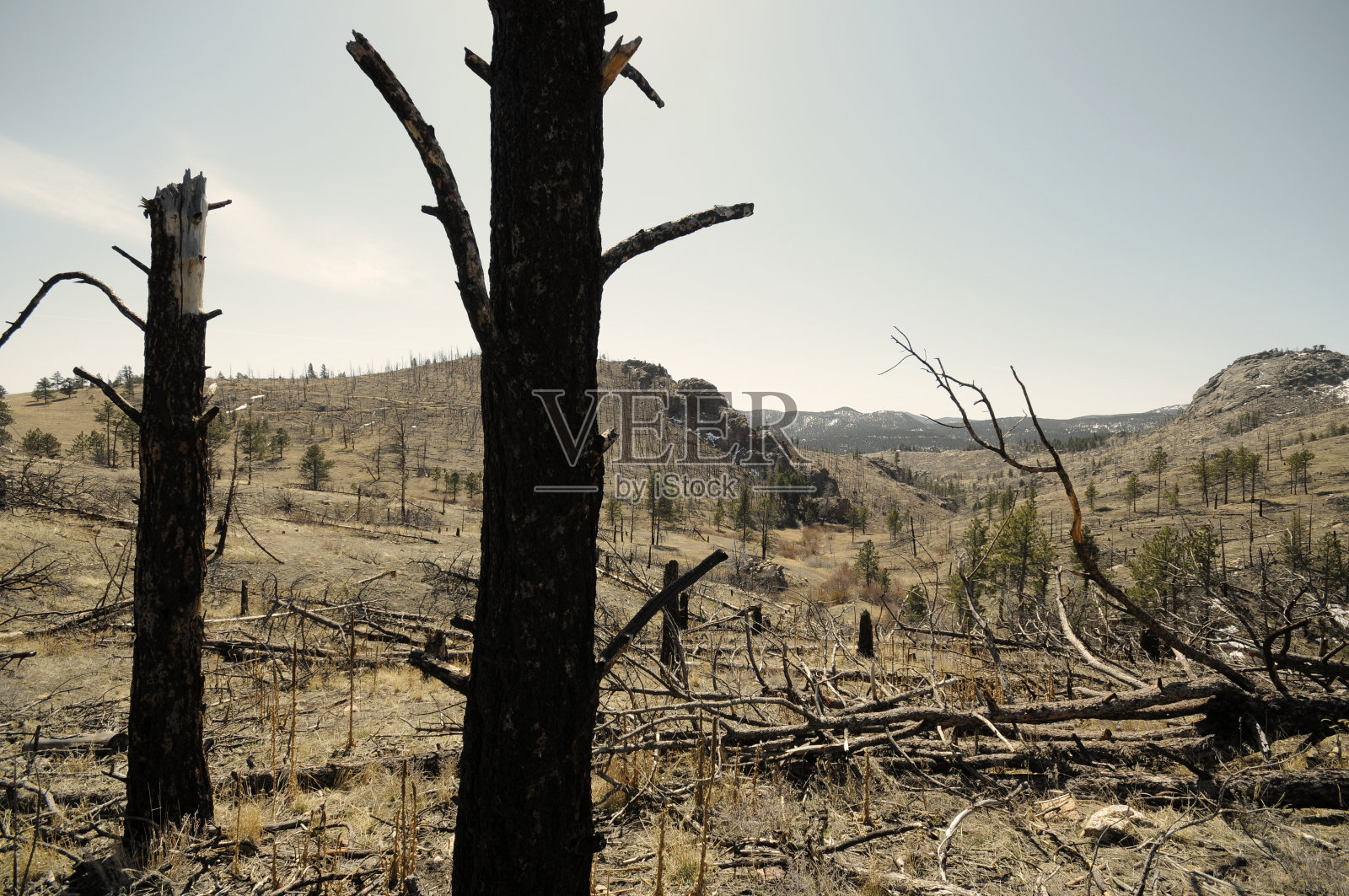 烧焦的照片摄影图片