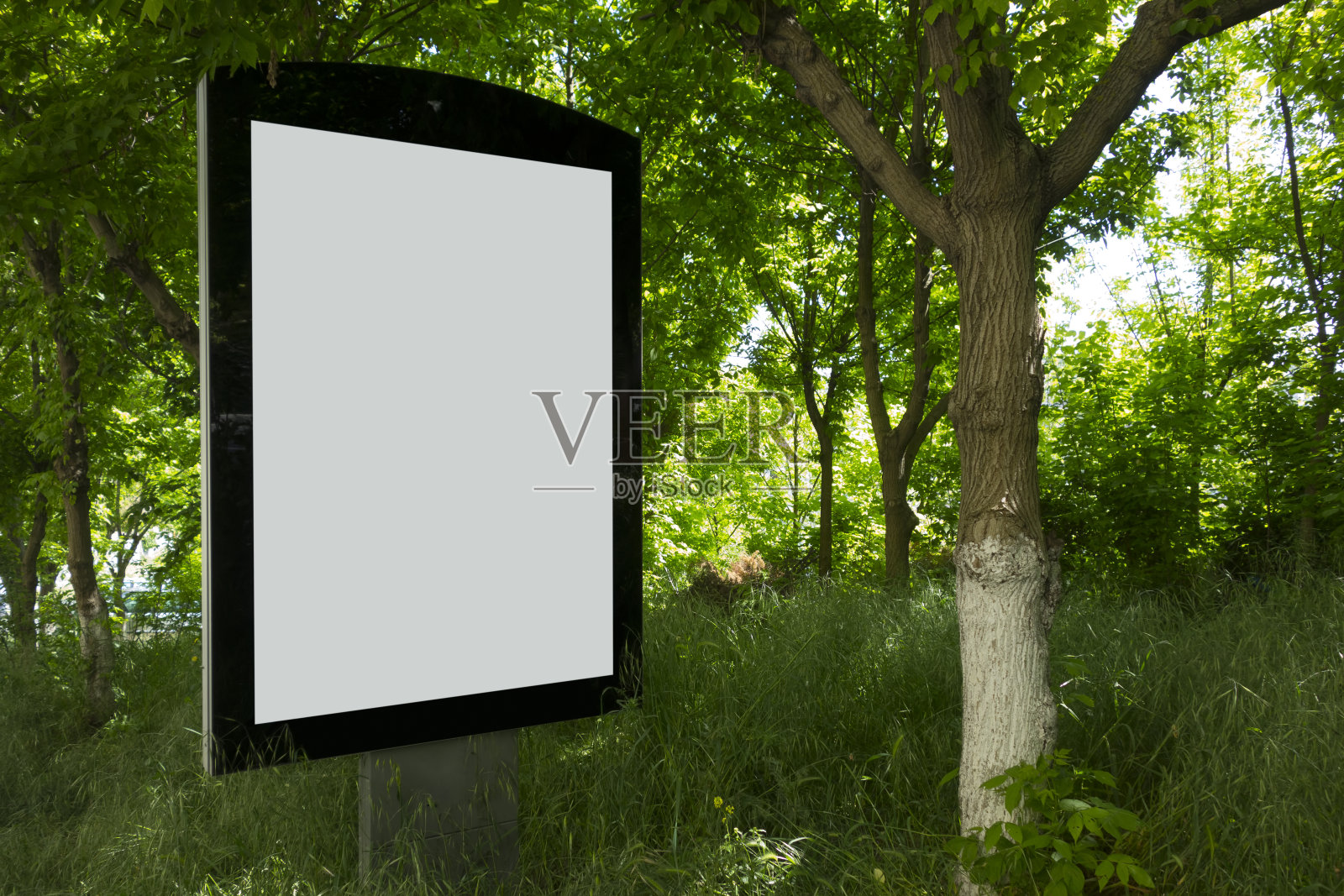 空白的广告牌照片摄影图片