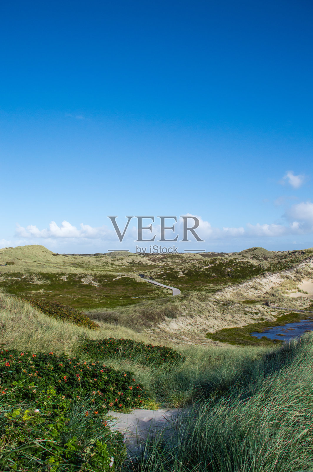 沙丘景观照片摄影图片