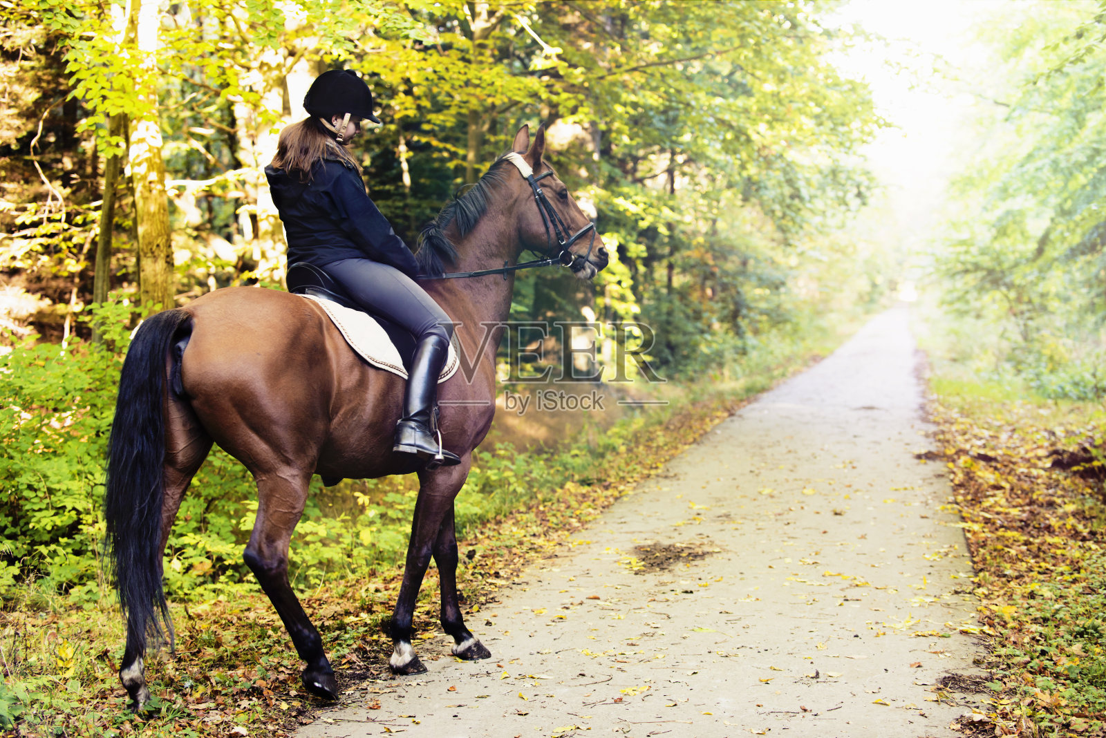一个年轻女子在森林里骑马照片摄影图片