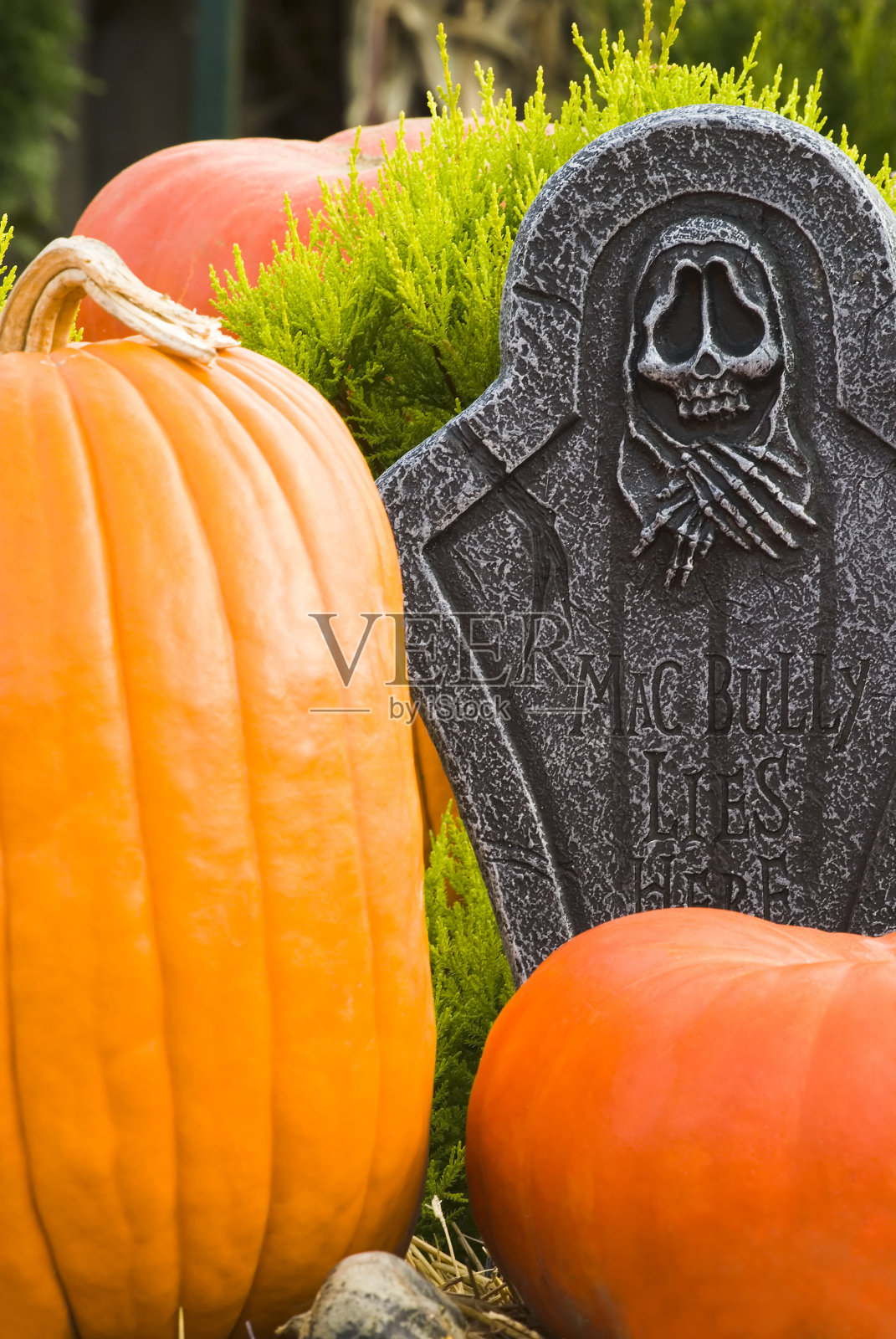 万圣节前夜三照片摄影图片