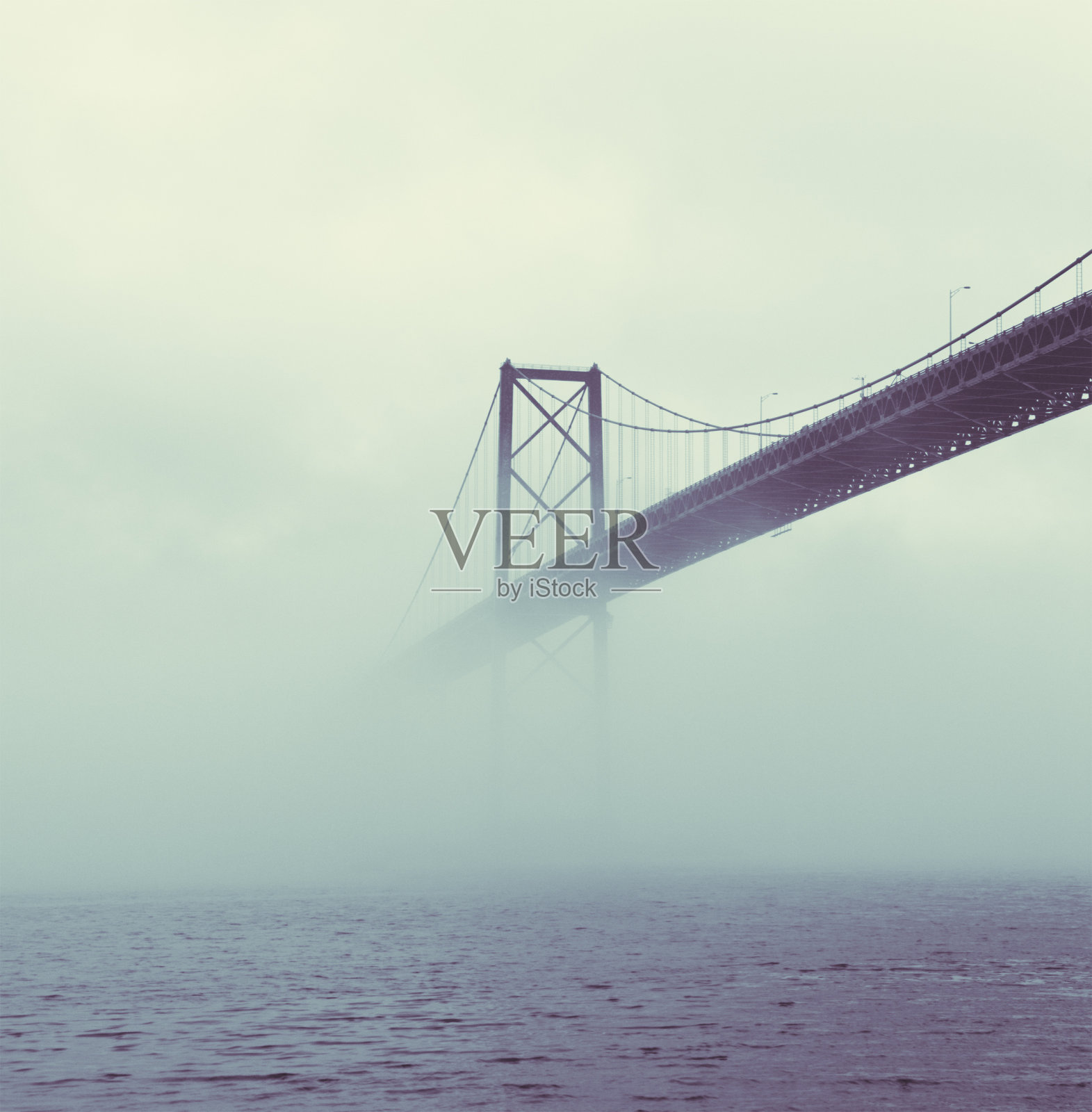 海港大桥照片摄影图片