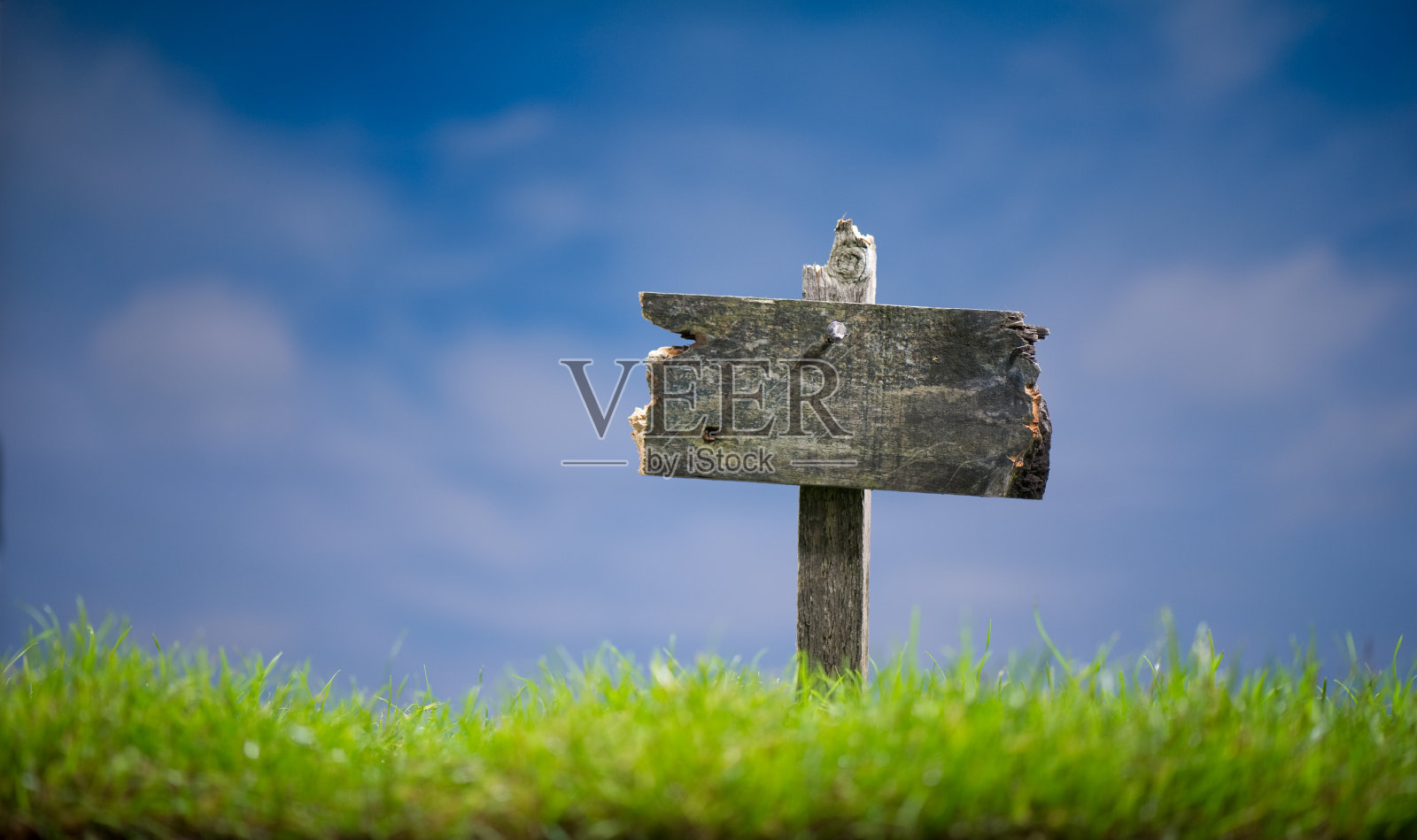 木签照片摄影图片
