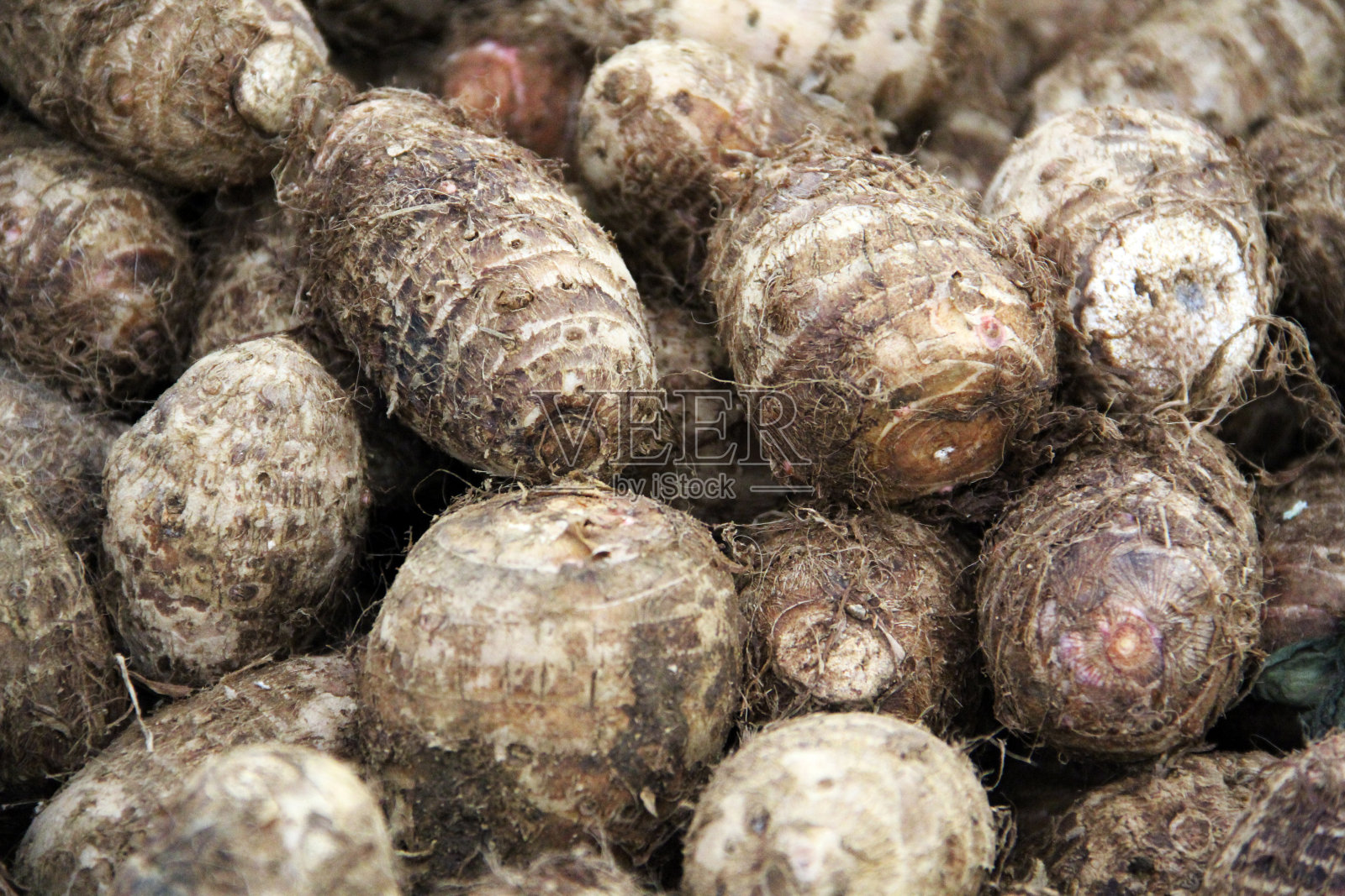 芋头根纹理特写照片摄影图片