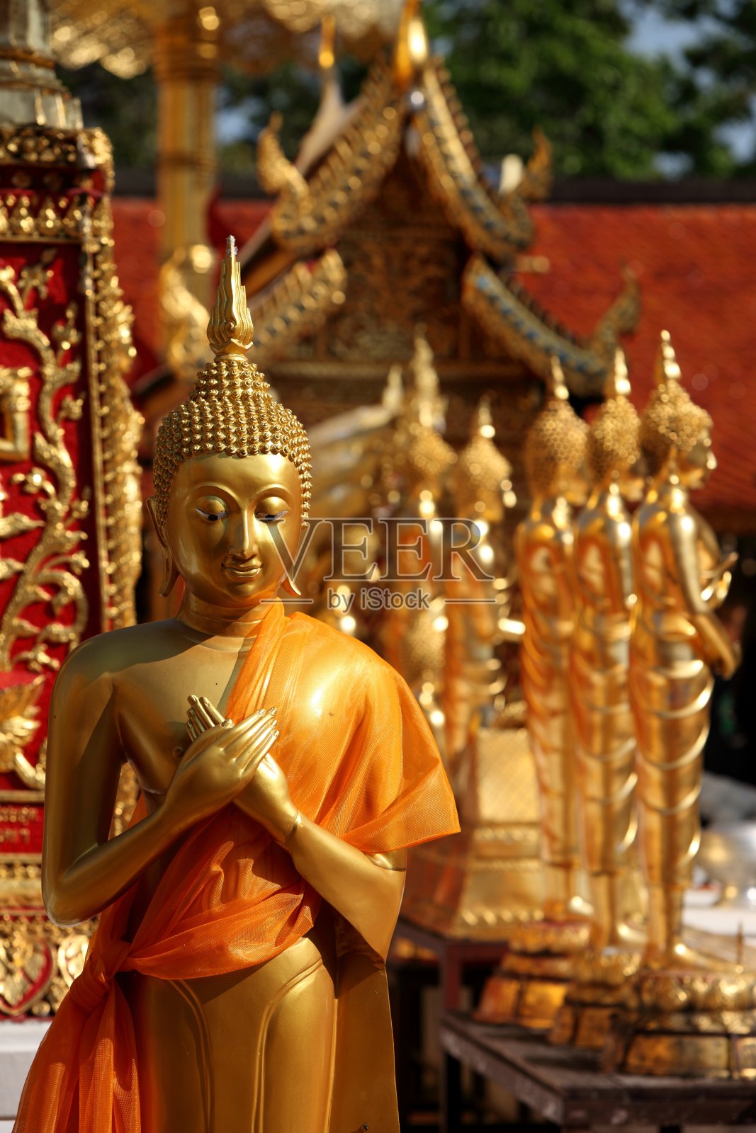 寺内佛像低视角照片摄影图片