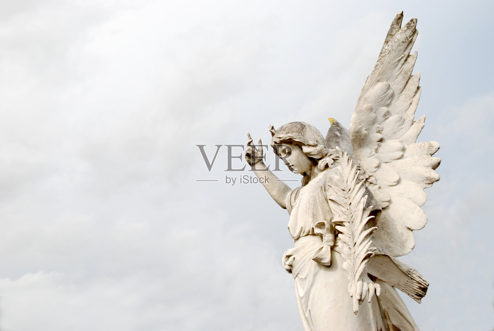 棕枝天使照片摄影图片