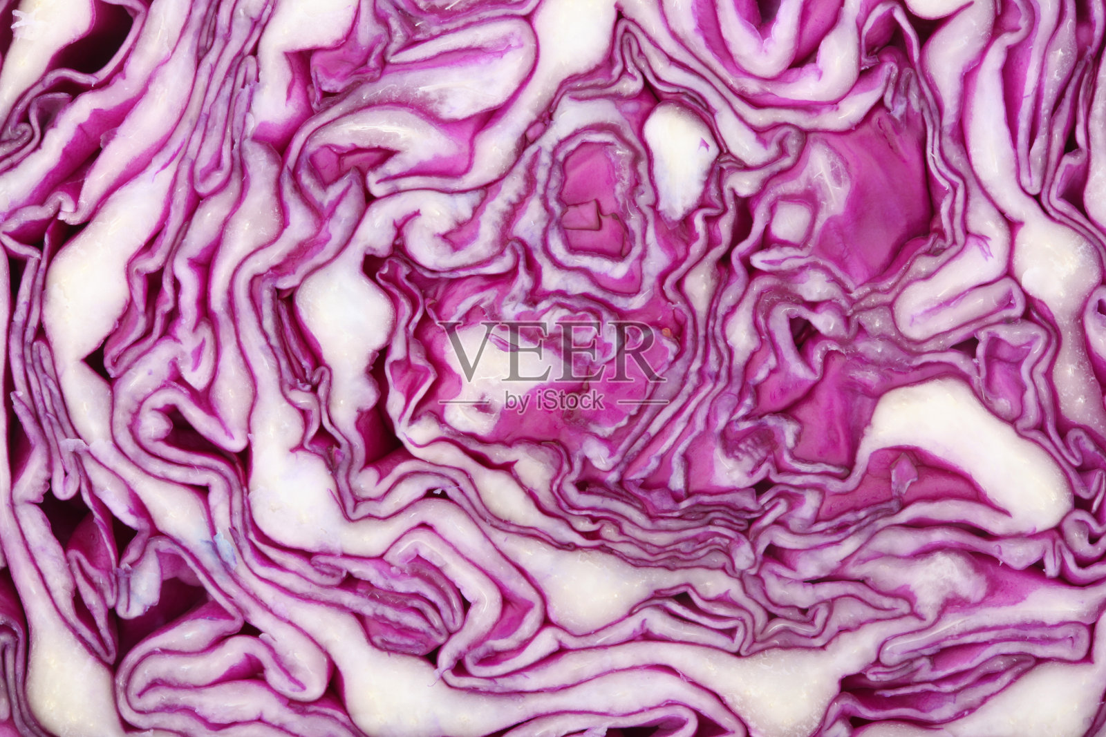 紫色的卷心菜背景照片摄影图片