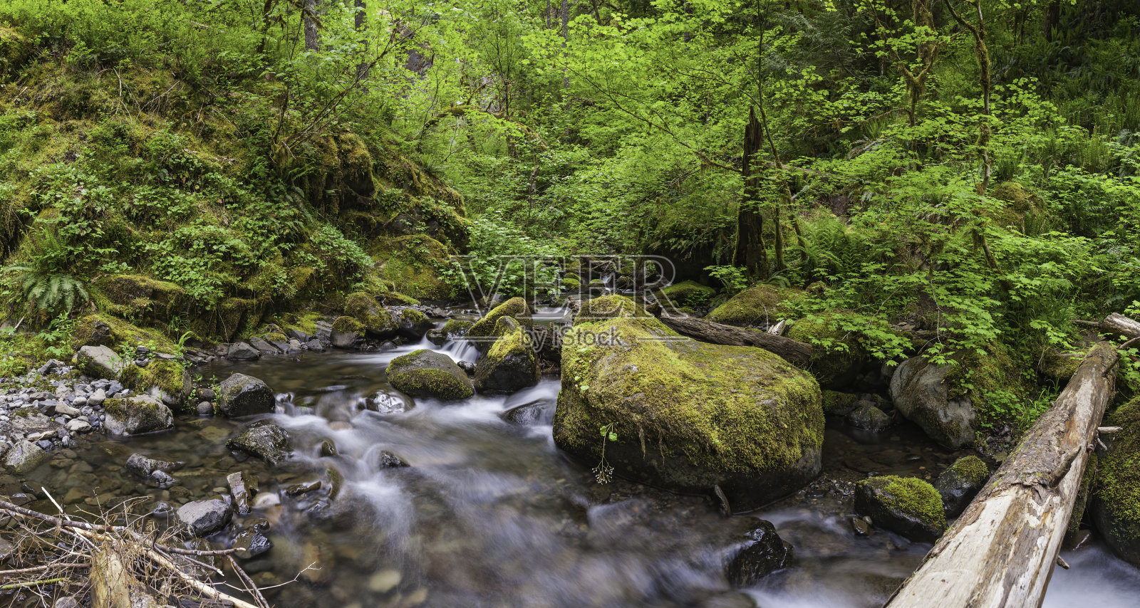 宁静的山涧流过绿色的森林荒野照片摄影图片