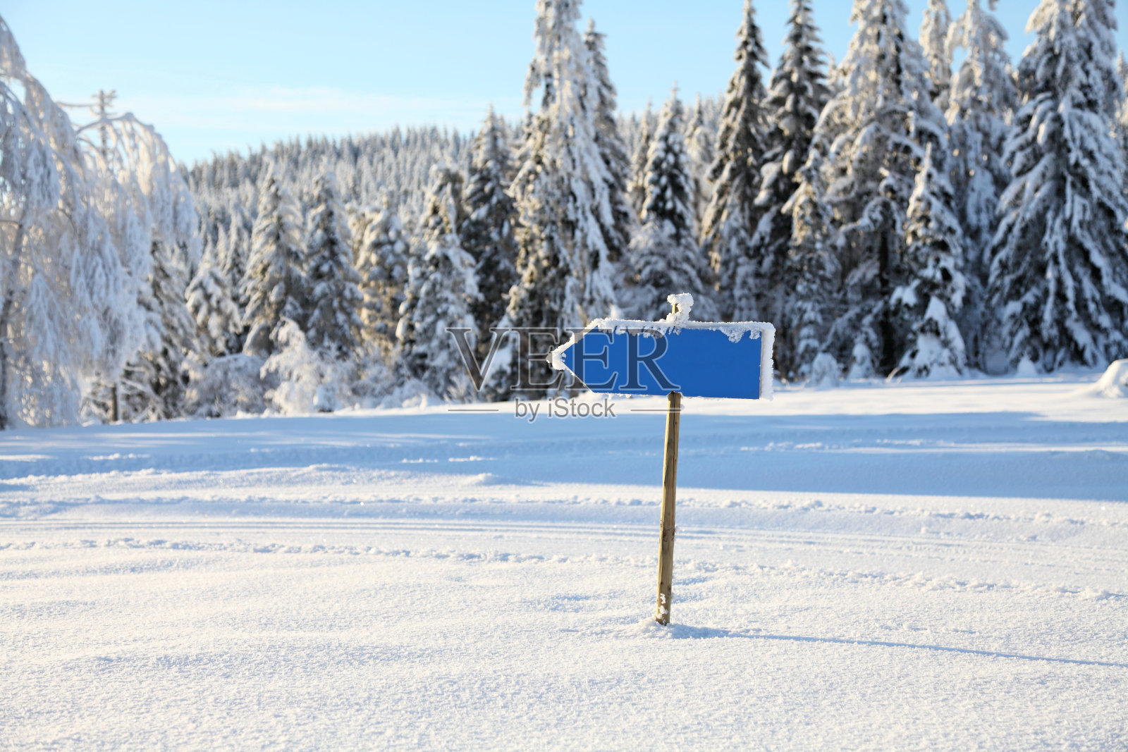 黑色森林冬季景观的标志照片摄影图片