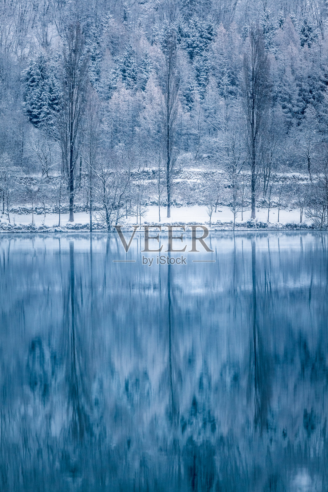 冬季景观与湖和雪树照片摄影图片