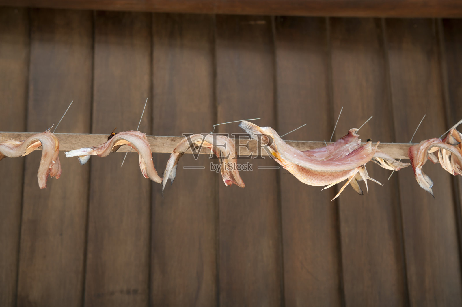 鱼干照片摄影图片