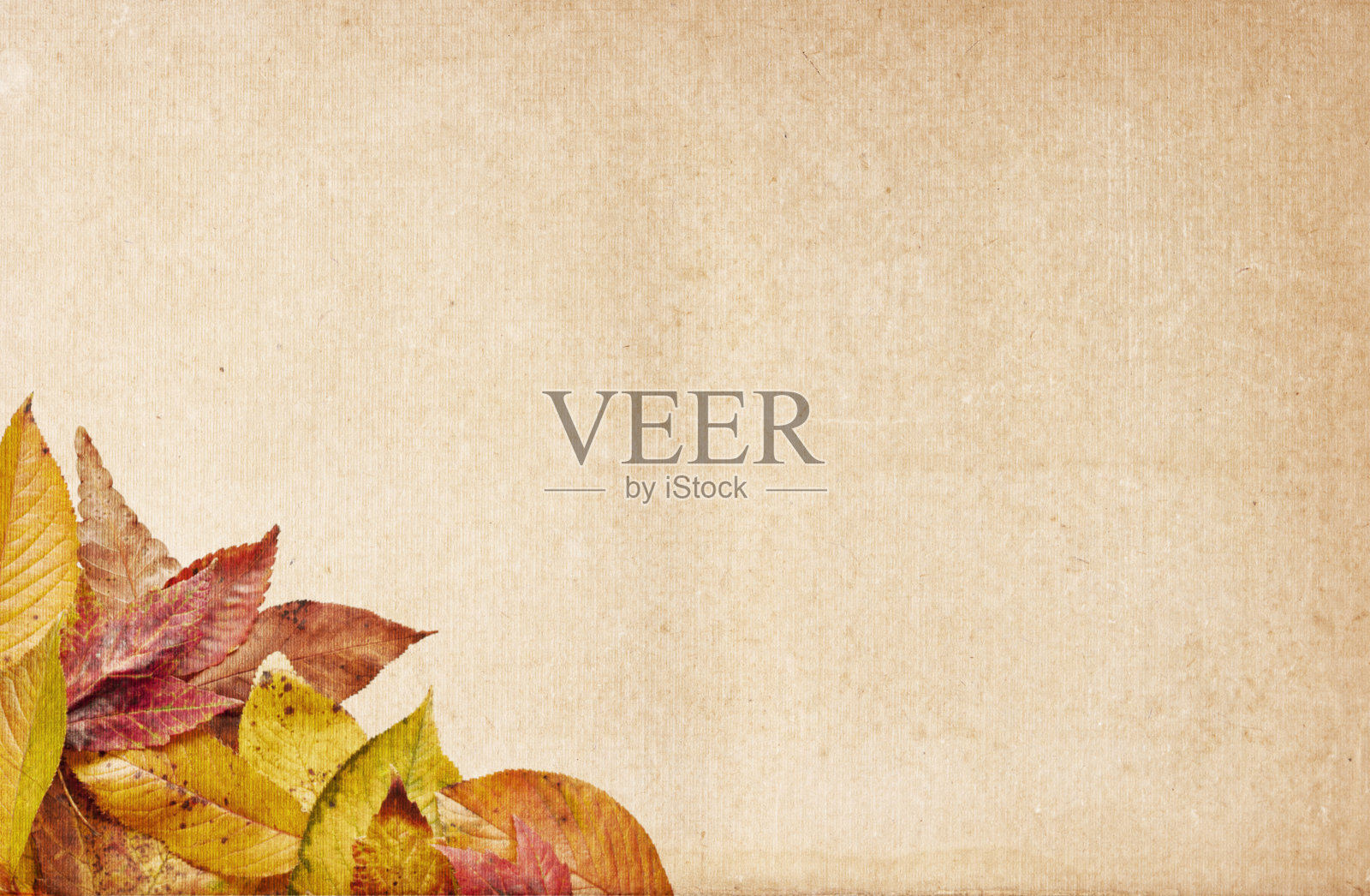 秋天背景照片摄影图片