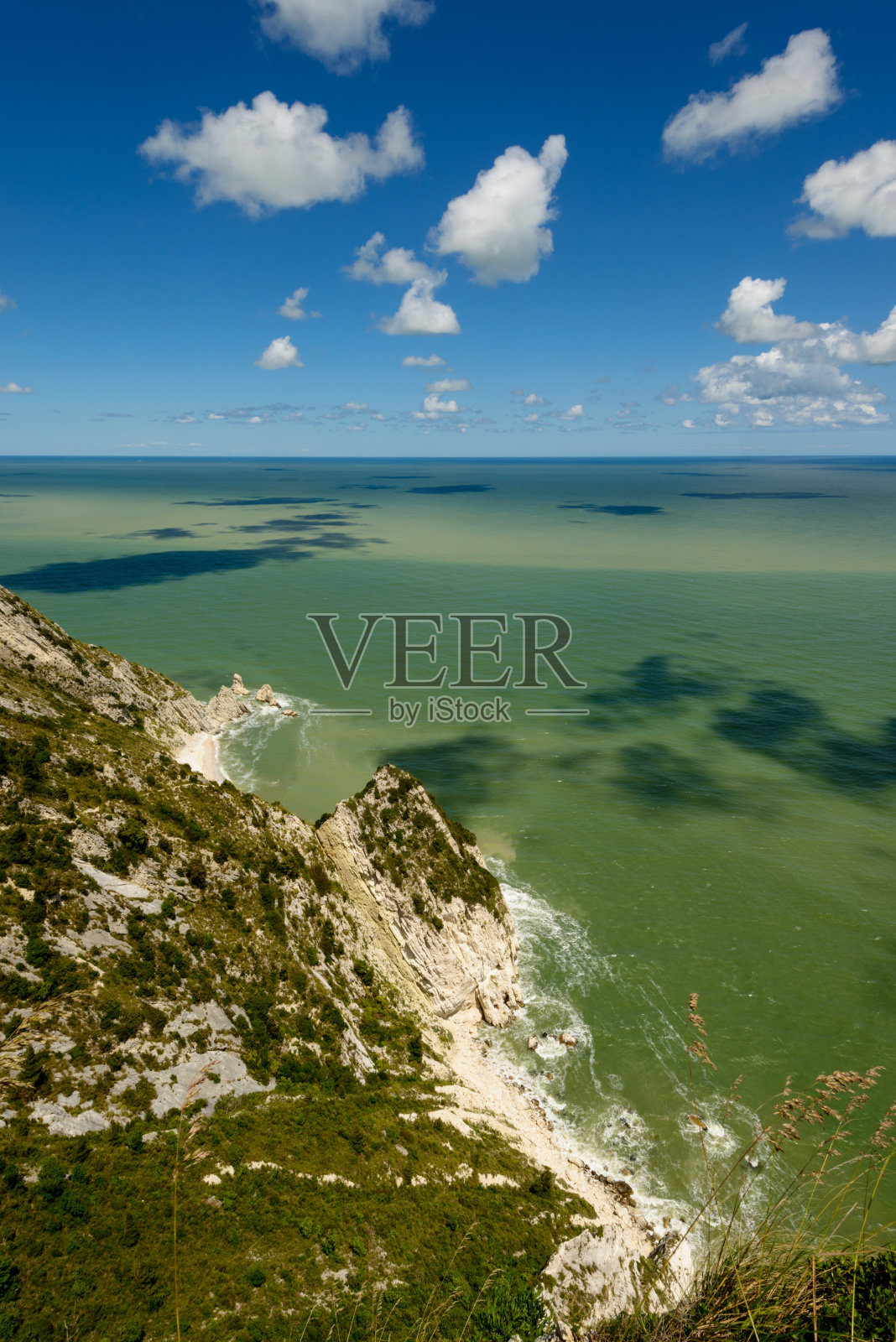 康尼罗自然公园:深绿色的海洋照片摄影图片