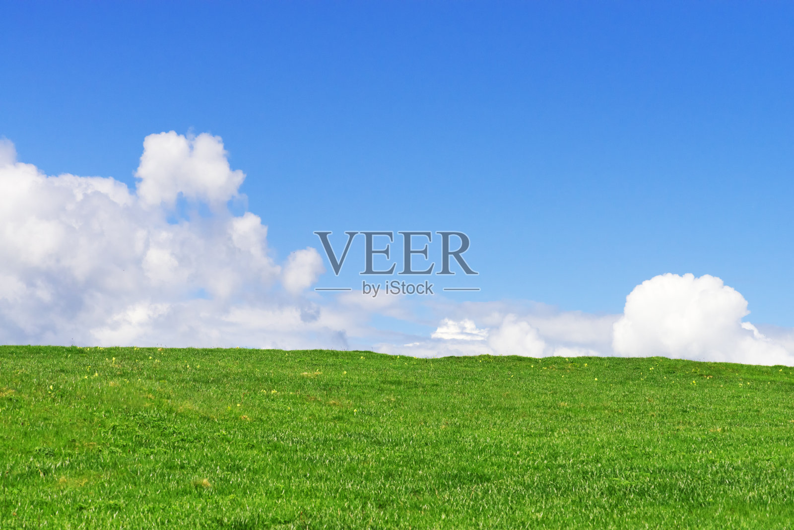 草和天空照片摄影图片