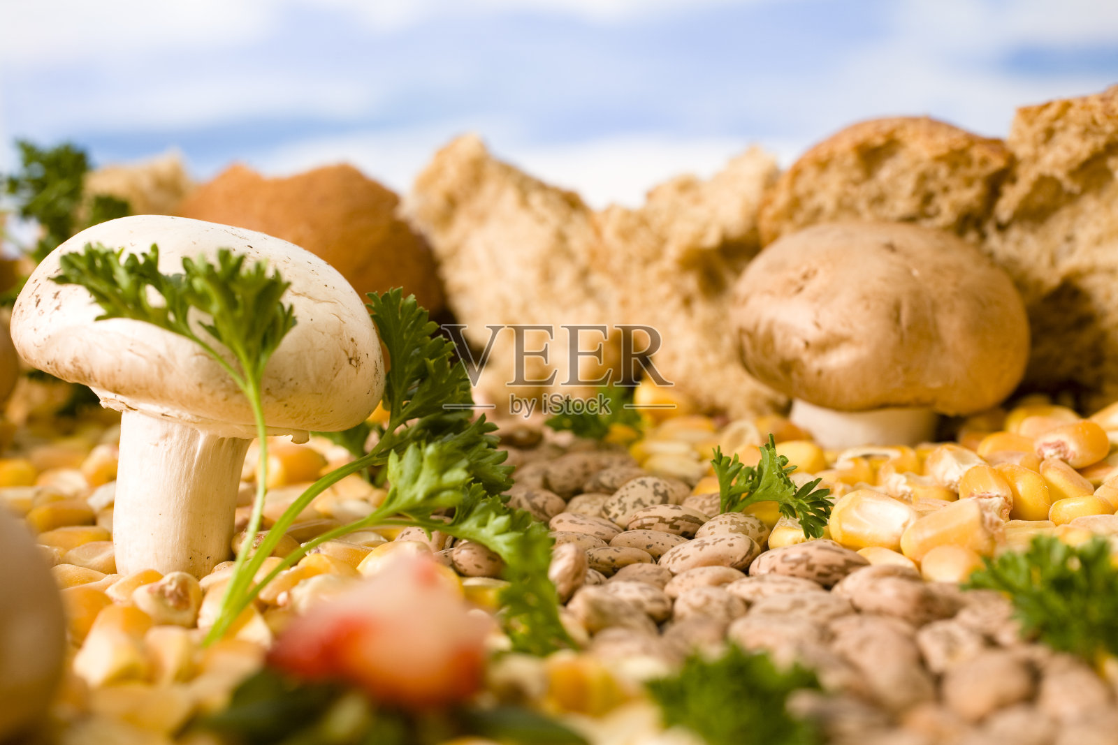 食物景观照片摄影图片