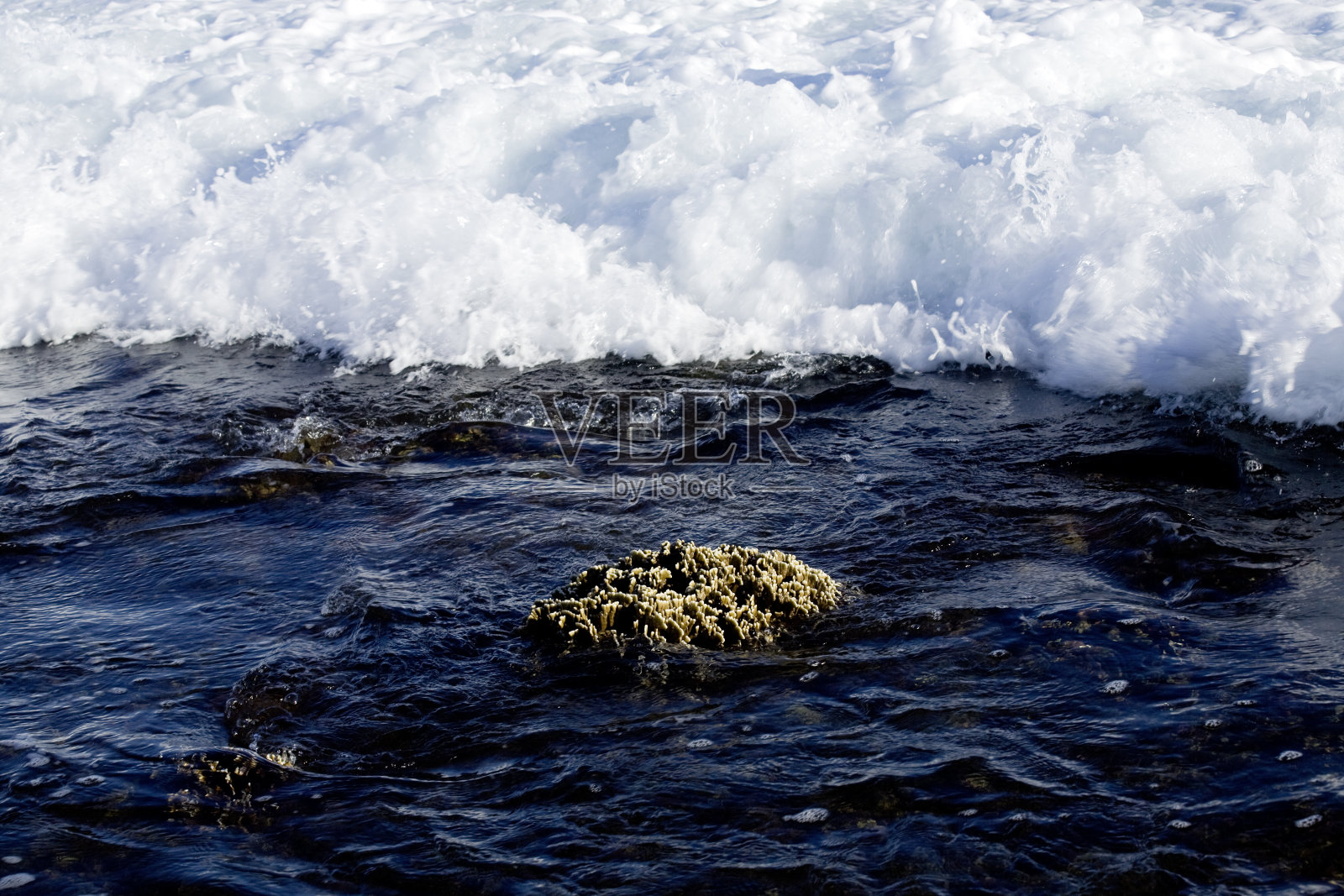 更多信息照片摄影图片