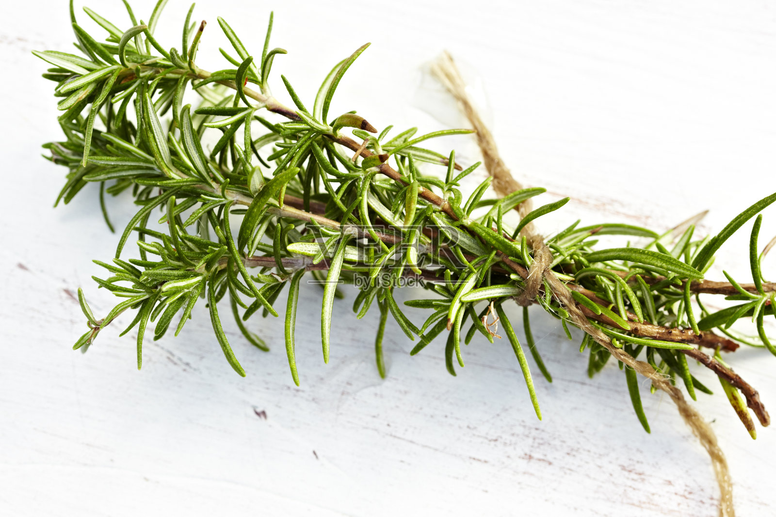 迷迭香照片摄影图片