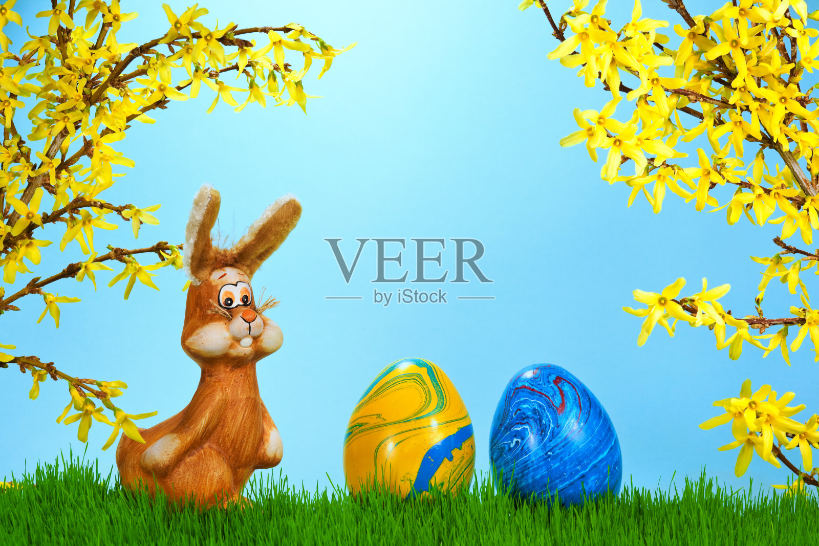 春天草地上的复活节兔子照片摄影图片