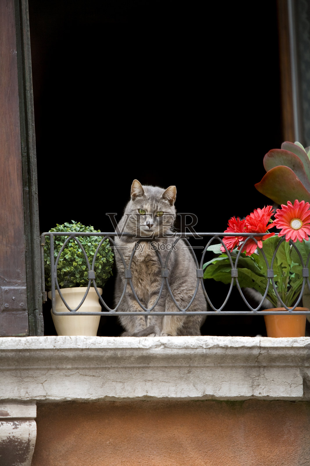 意大利威尼斯照片摄影图片