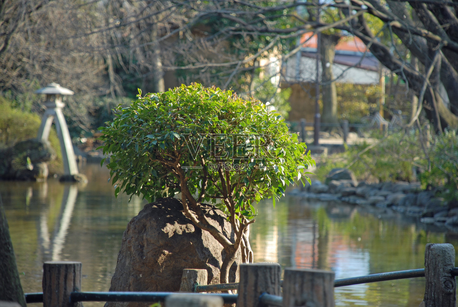 日式花园照片摄影图片