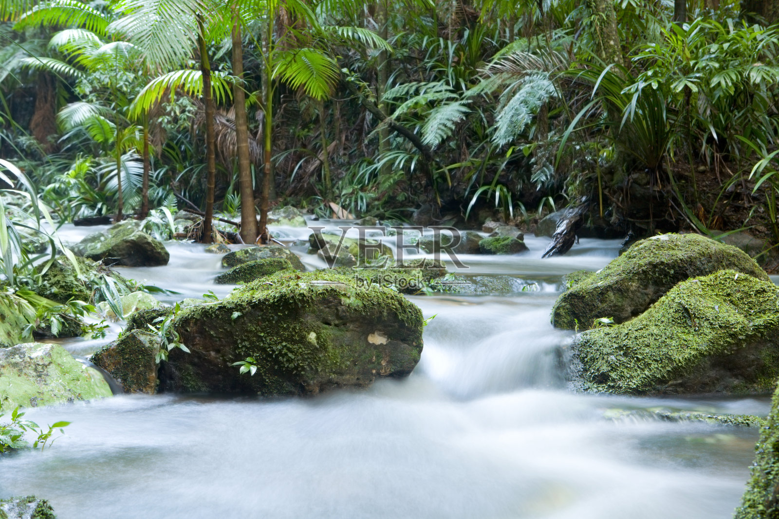 雨林流照片摄影图片