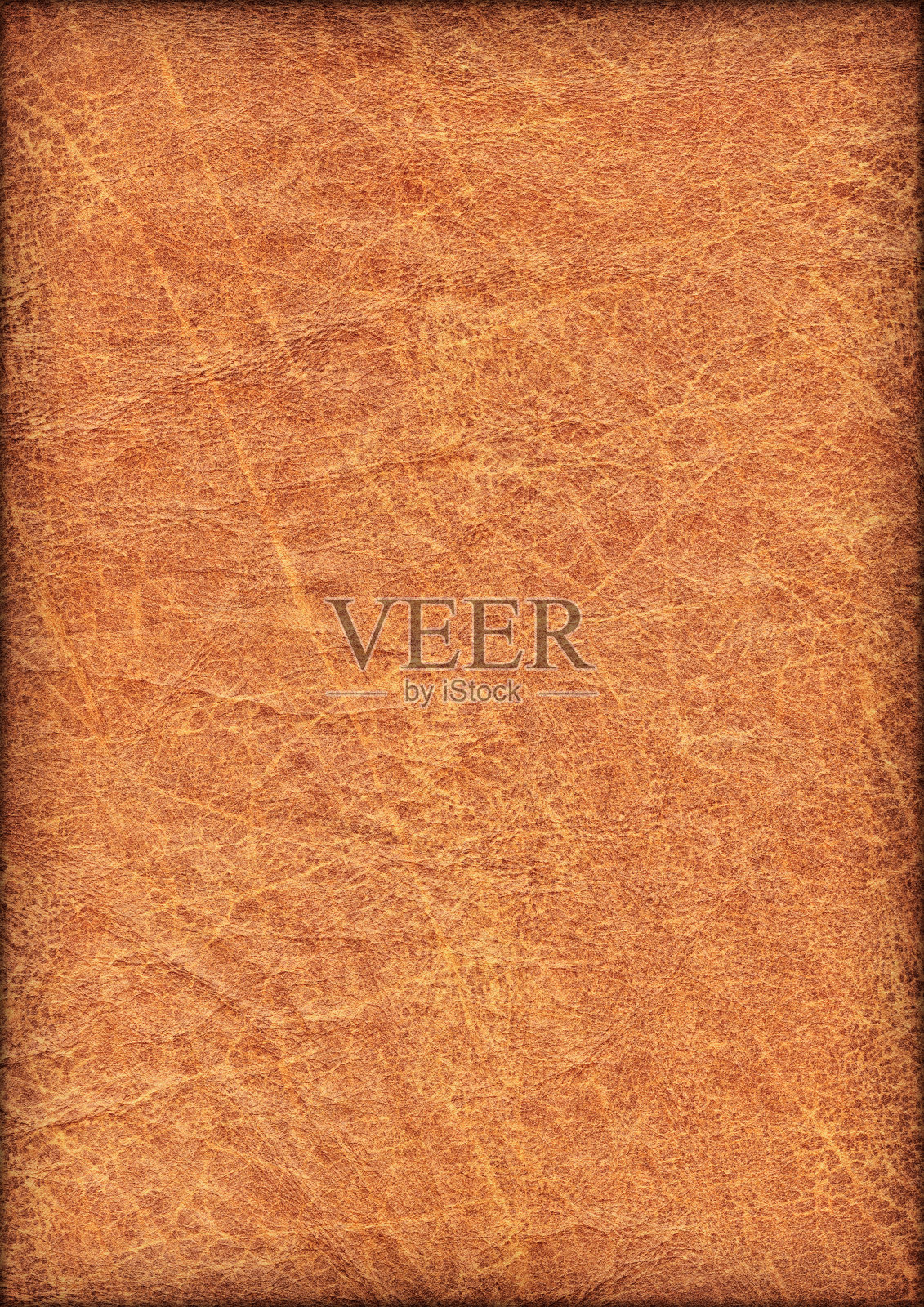 高分辨率古董动物皮羊皮纸皱褶Vignette Grunge纹理照片摄影图片