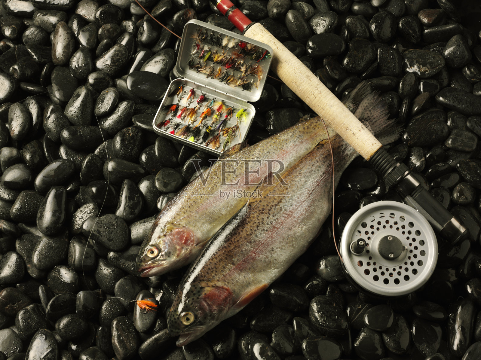 双虹鳟和飞钓具照片摄影图片