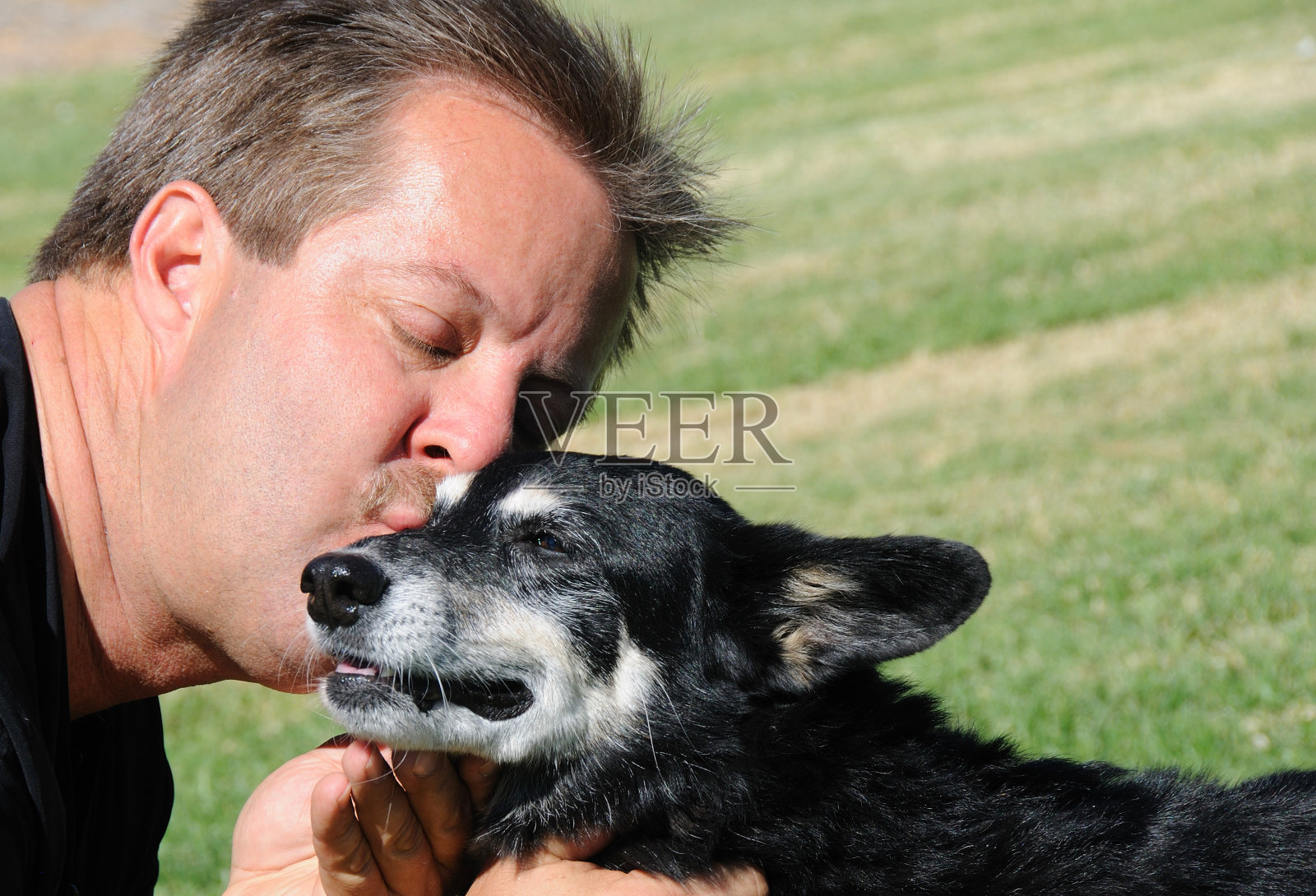 爱我的狗照片摄影图片