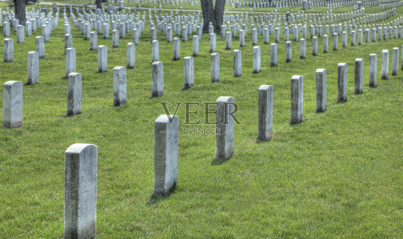 阿灵顿国家公墓-完美对齐的墓碑照片摄影图片