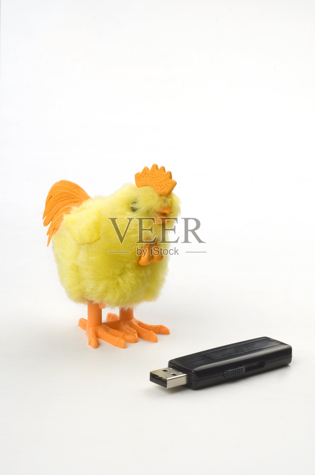 小鸡照片摄影图片