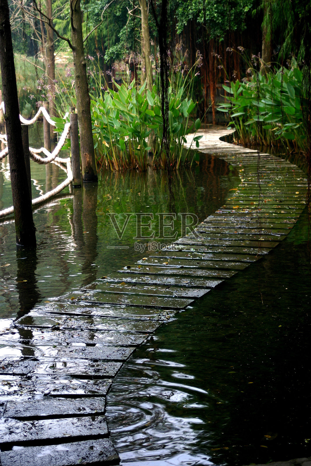 人行道在水里照片摄影图片