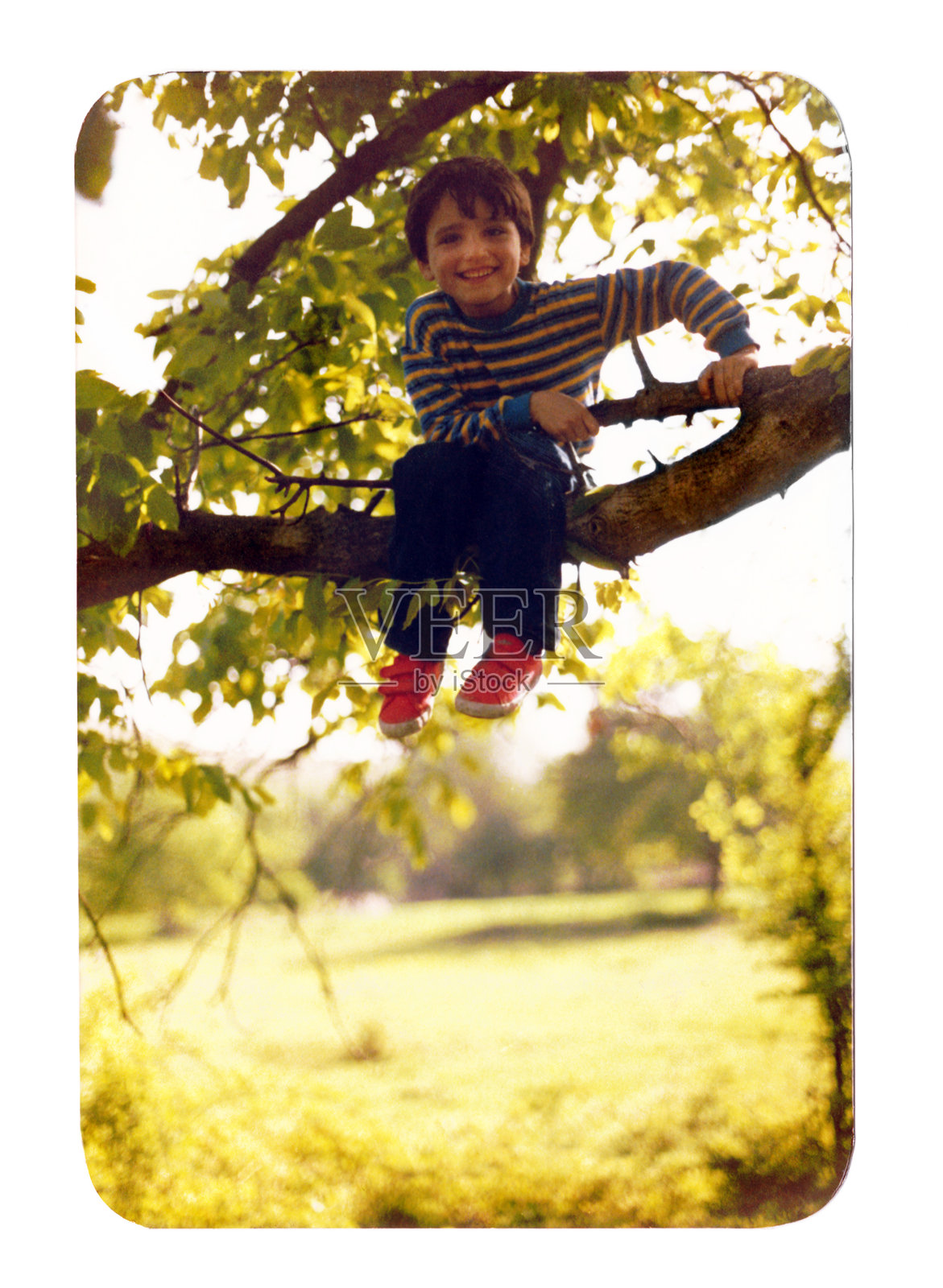 80年代的男孩在树上照片摄影图片