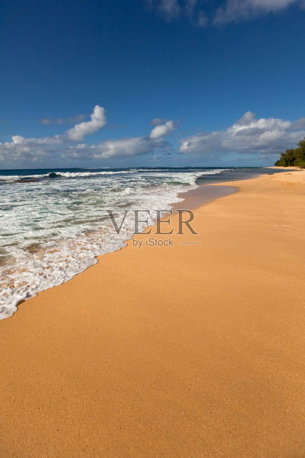 夏威夷，热带黄金海滩照片摄影图片