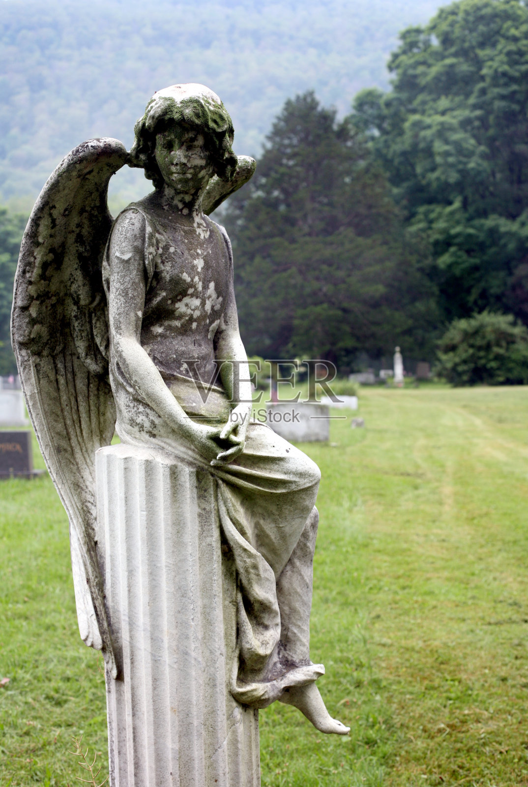 天使在腐烂。照片摄影图片