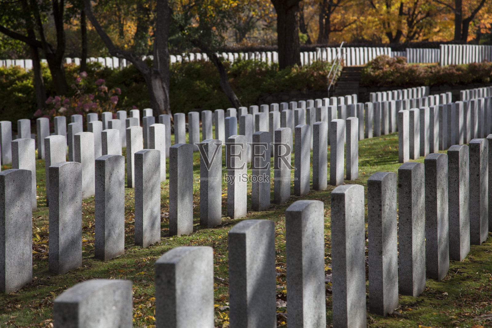 士兵的墓碑照片摄影图片