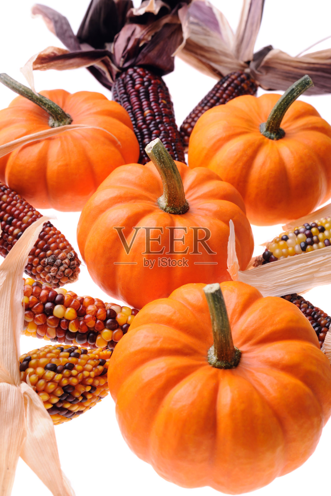 秋天的装饰照片摄影图片