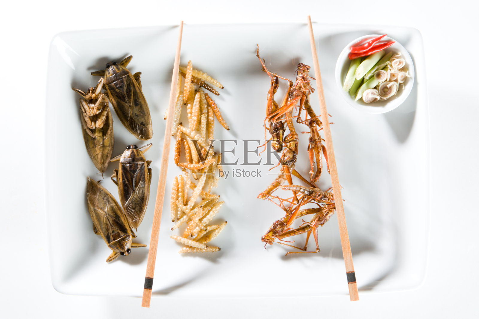 炸虫子照片摄影图片