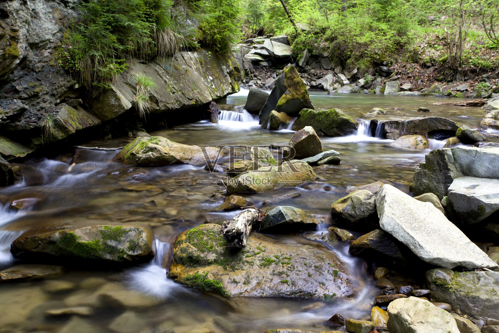森林中的河流照片摄影图片