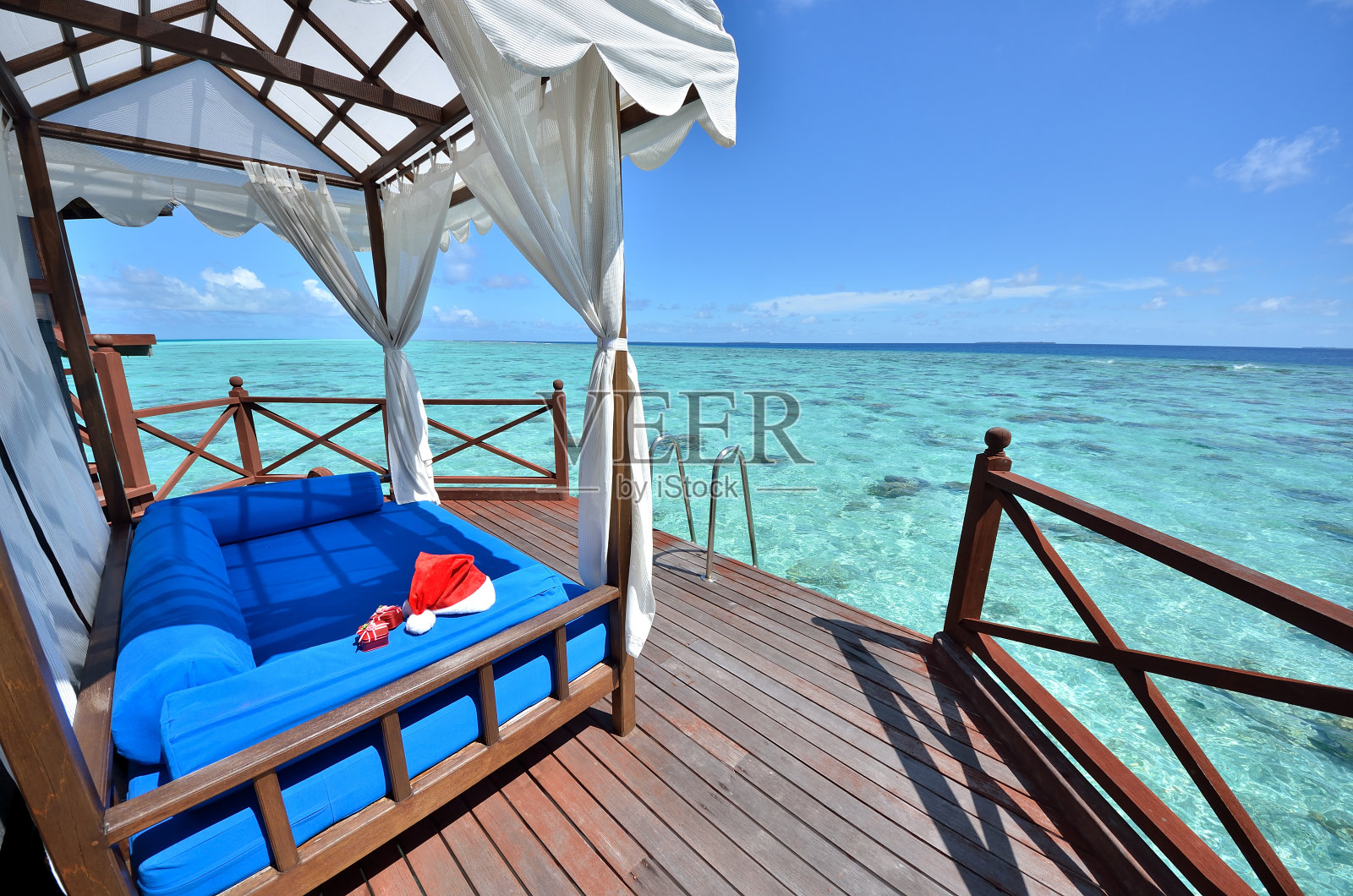 热带圣诞假期照片摄影图片