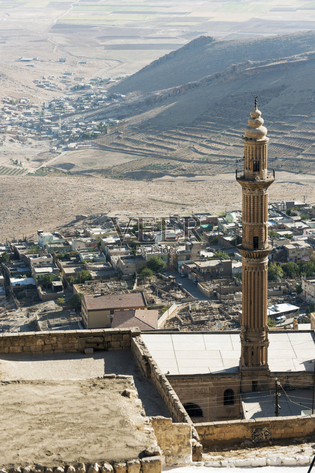 马尔丁照片摄影图片