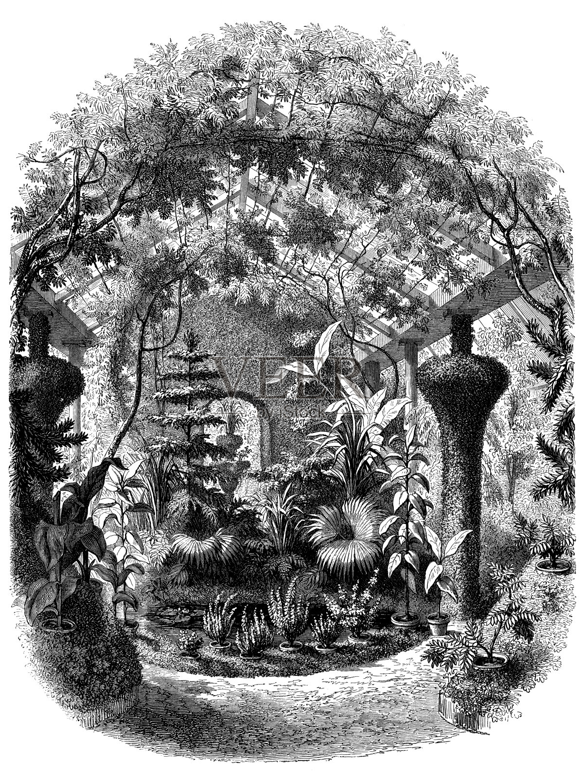 古色古香的温室插画插画图片素材