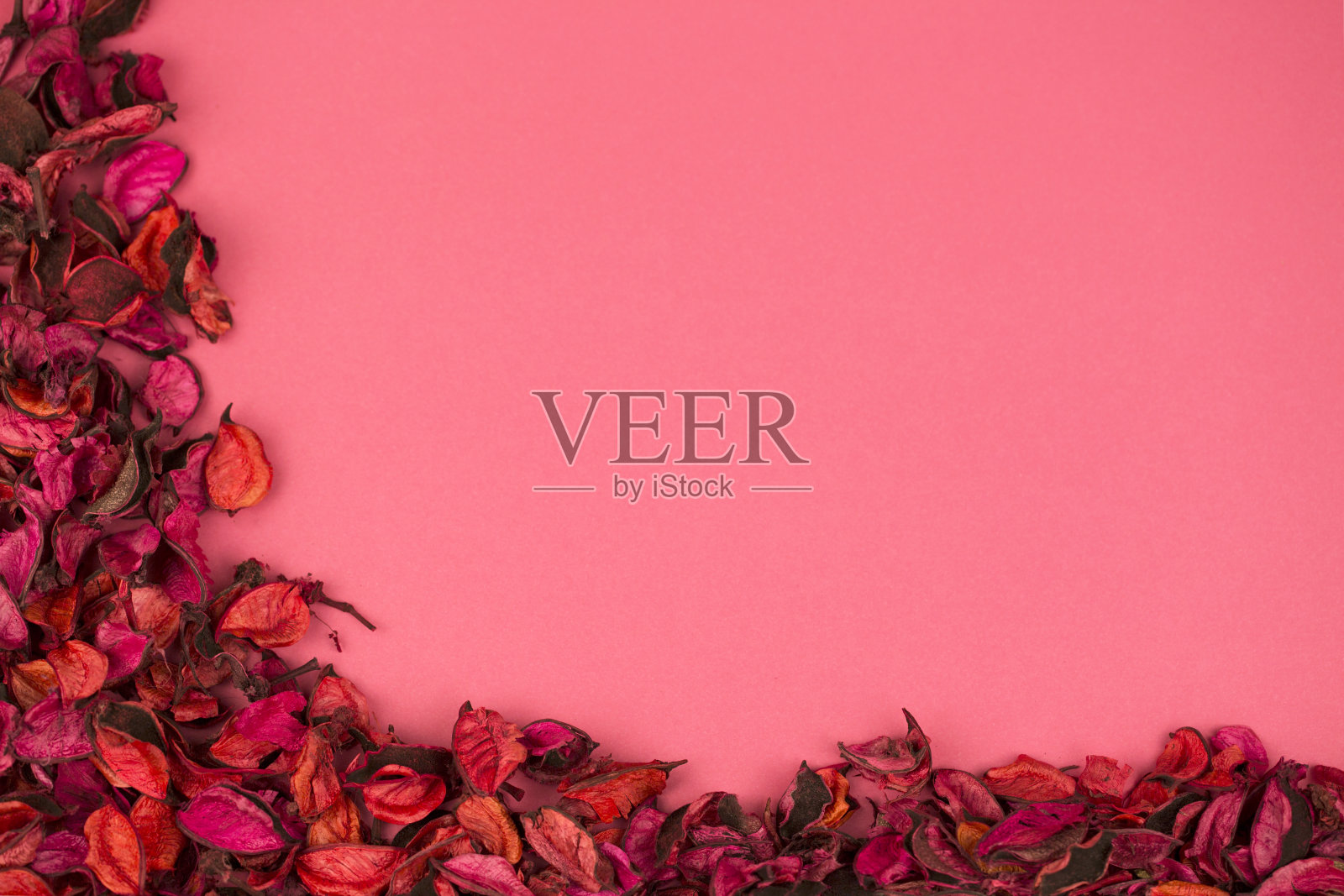 框架与干燥的玫瑰花瓣照片摄影图片