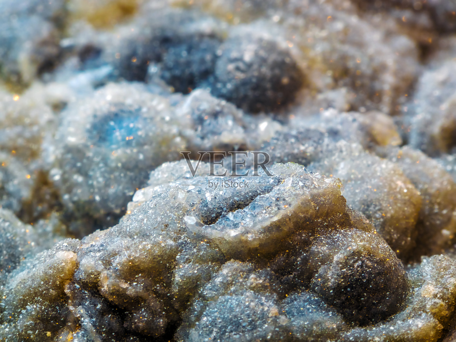 蛇形照片摄影图片