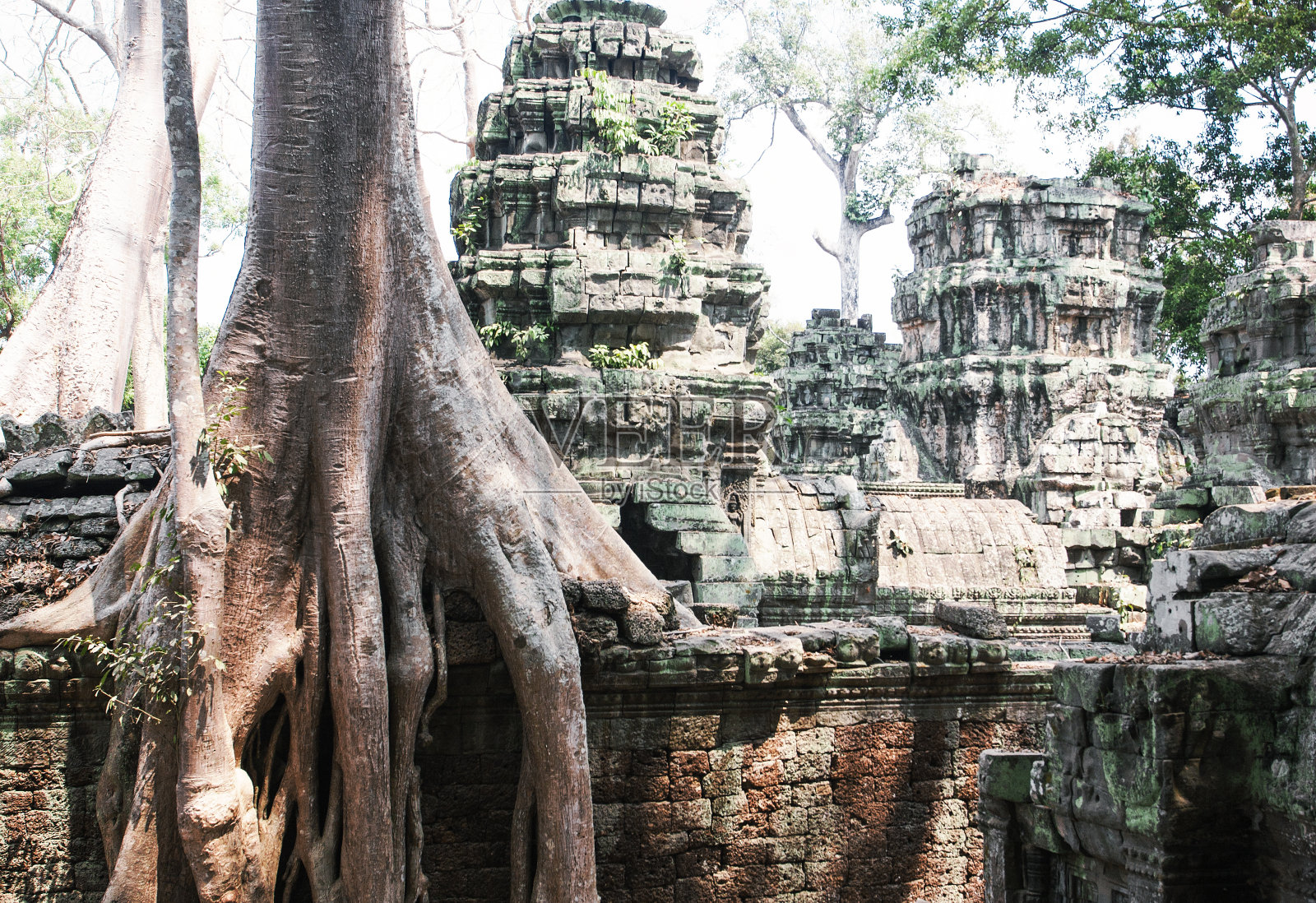 塔普罗姆吴哥窟照片摄影图片