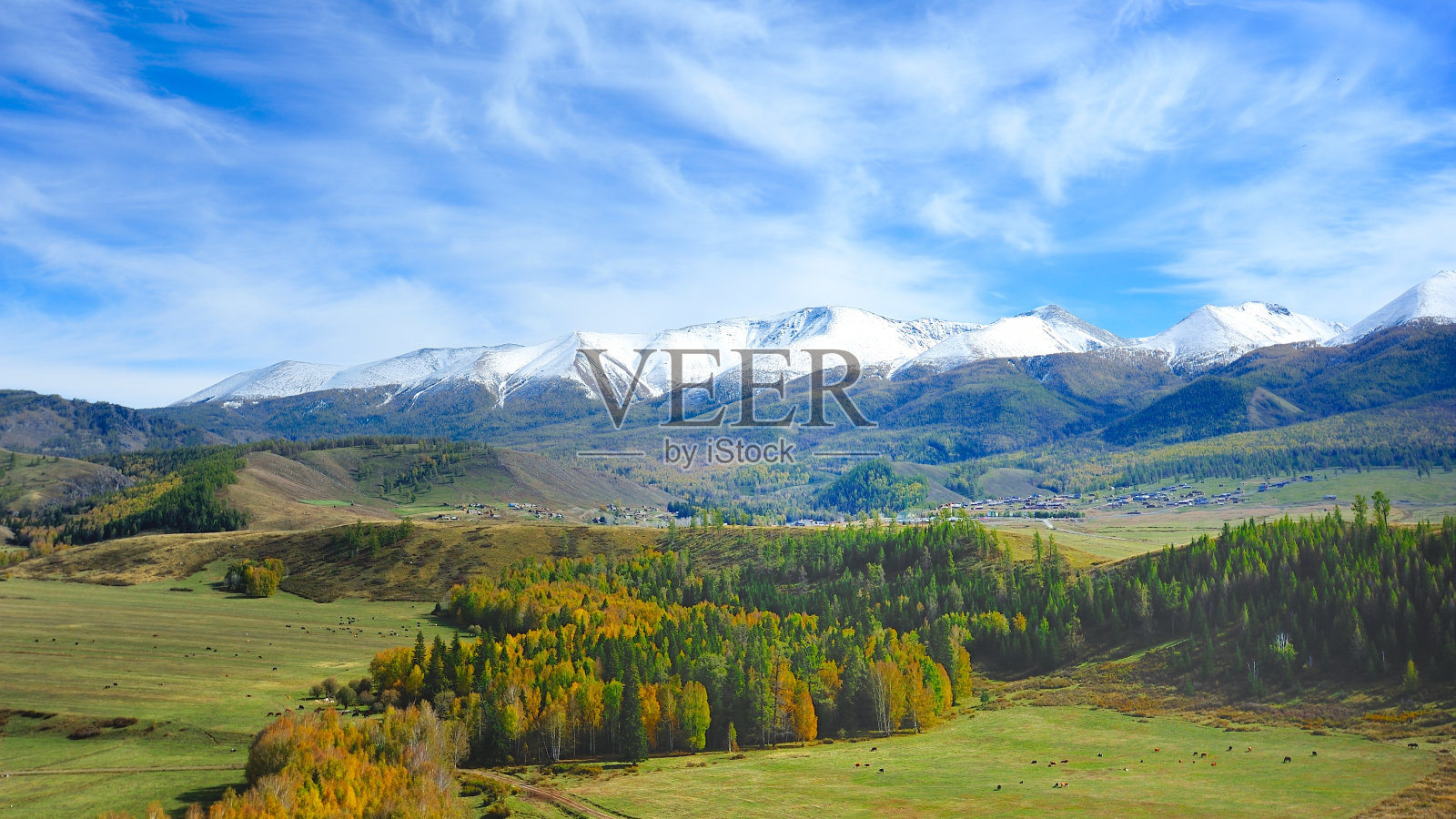 雪山、森林和牧场02照片摄影图片